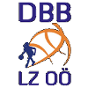 DBB林兹威尔斯女篮队徽
